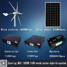 Hybrid Solar Wind Power (MAX 1600W)